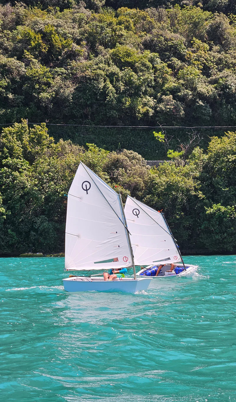 CD Sails - DRS